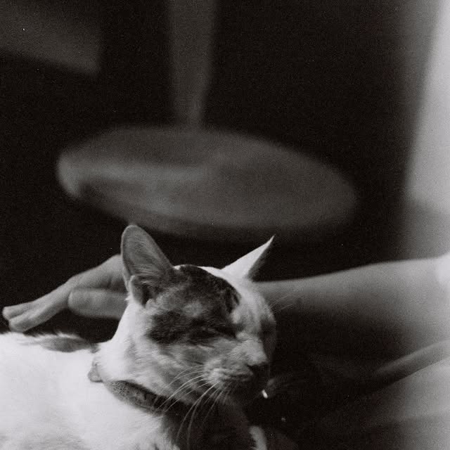 Instagram feed post photograph from Houtong, Taiwan, shot on film.