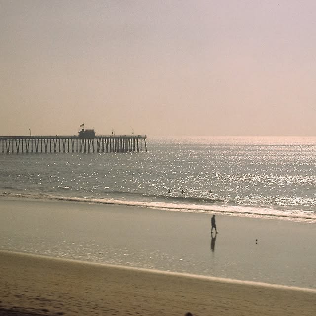 Instagram feed post photograph from the Pacific Surfliner in California, shot on film.